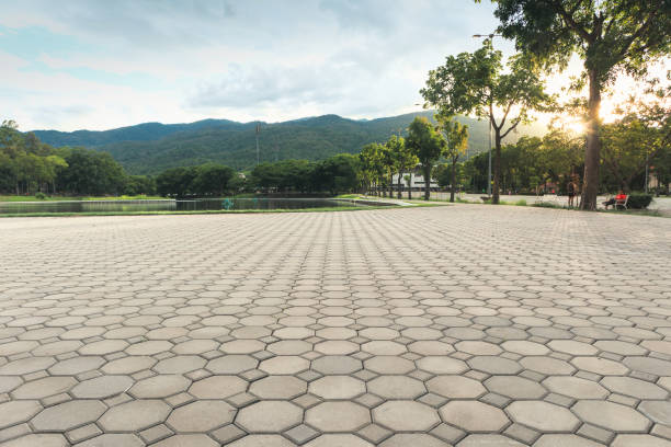 Best Decorative Driveway Pavers  in Greenfield, IA